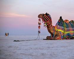 kutch_nature